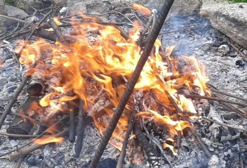 ホテル Zającówka Idealna Lokalizacja Leśna Enklawa W Centrum Miasta! Sauna, Masaże, Zabiegi Spa!