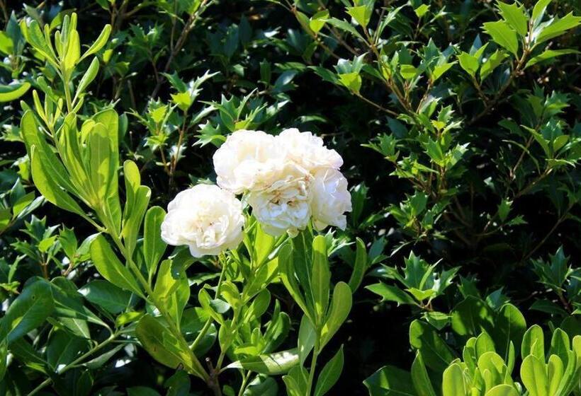 Joia Hotel & Luxury Apartments