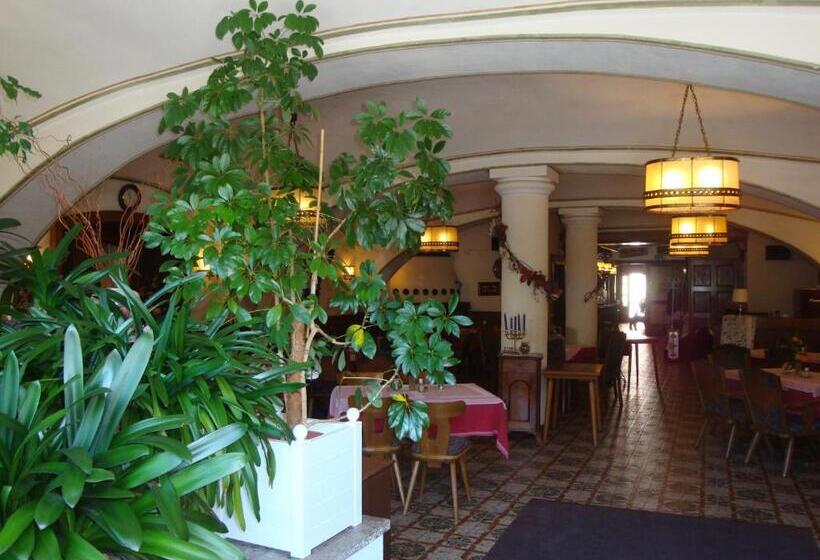 膳宿费 Gasthof Pontiller
