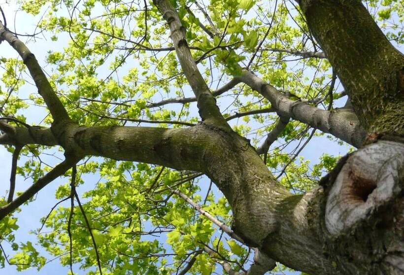 פנסיון Good Rooms Gmbh Guntramsdorf