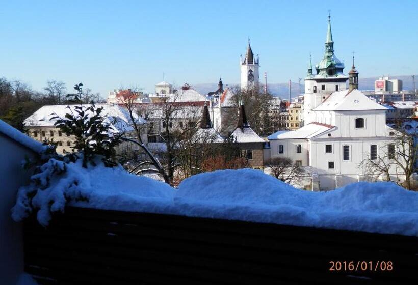 پانسیون U Kozicky