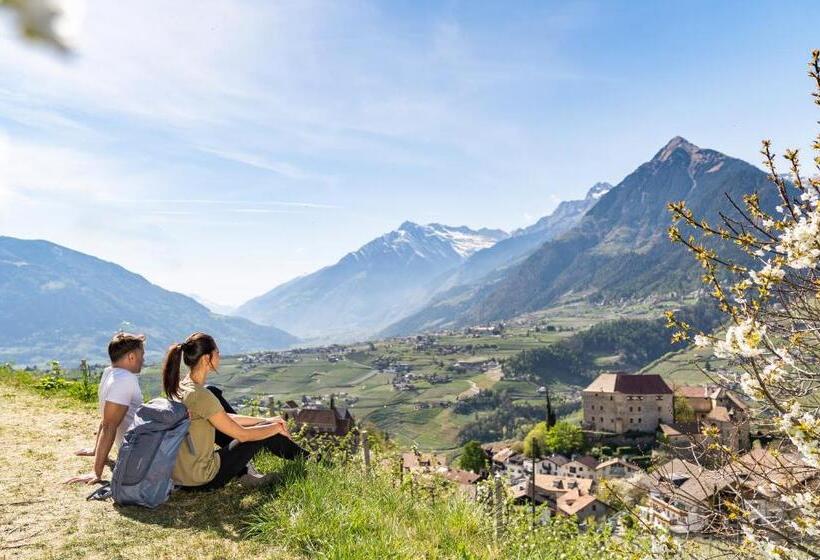 منتجع Mitterplatt