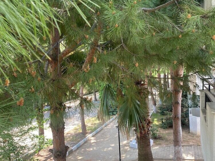 The Palm Club Apart Otel