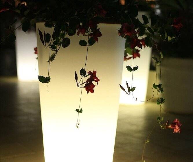 Vox Maris Grand Resort   Adults Only