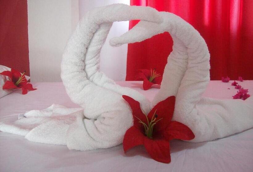 ユースホステル Pousada Costa Dos Corais