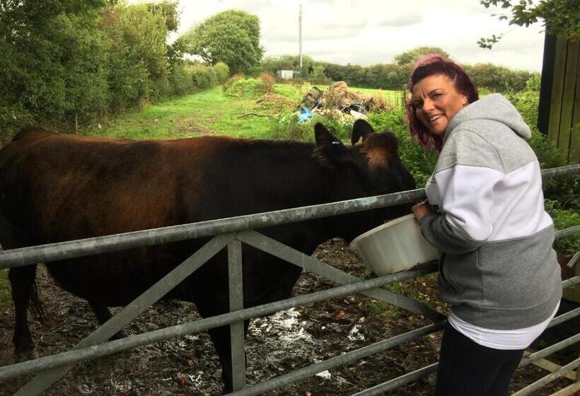 Barton Gate Farm B&b