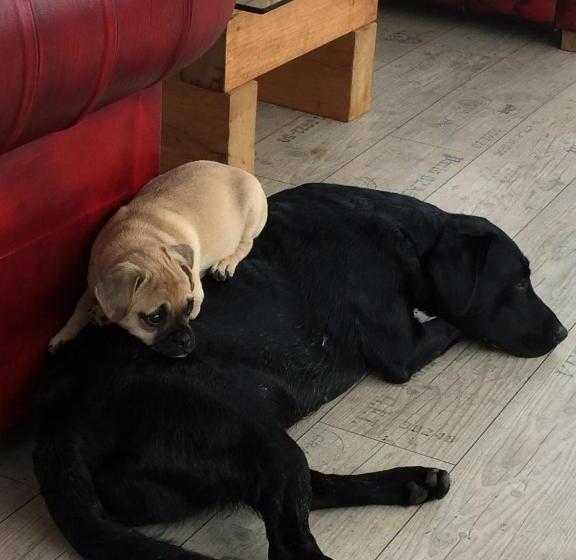 Barton Gate Farm B&b