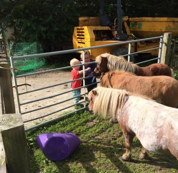 Barton Gate Farm B&b