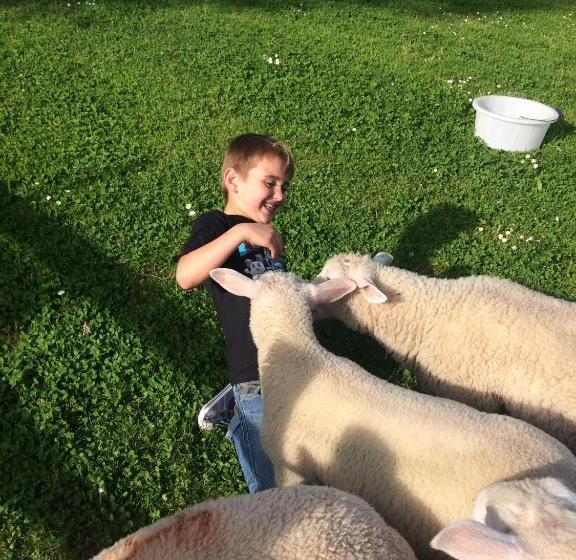 Barton Gate Farm B&b