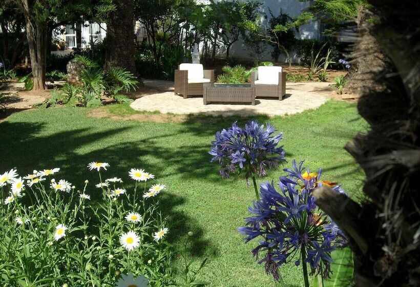 Cosy Decorated Studio At Quinta Paraiso Da Mia