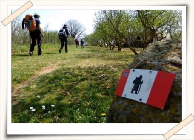 Отель Agriturismo Il Poderetto