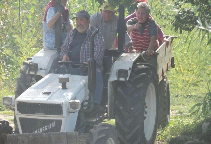 Отель Agriturismo Il Poderetto