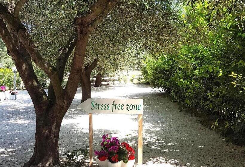 Отель Agriturismo La Rondine