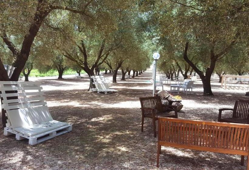 Отель Agriturismo La Rondine