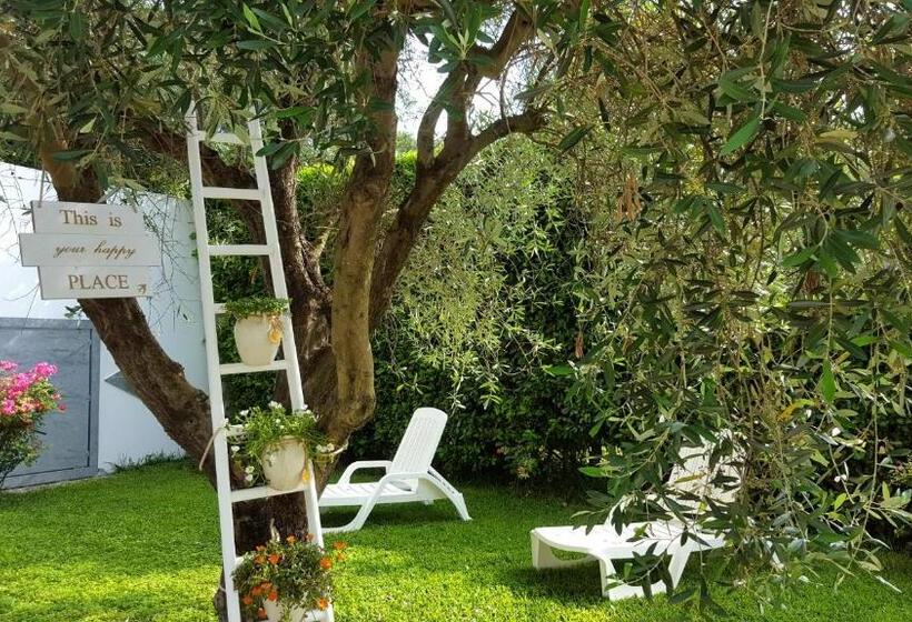 Отель Agriturismo La Rondine