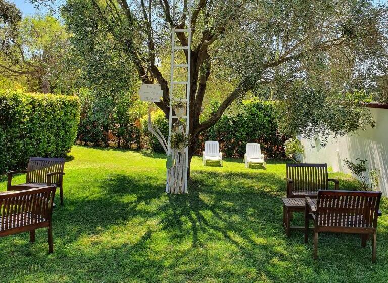 Отель Agriturismo La Rondine