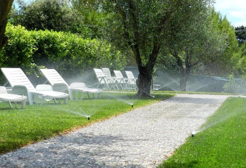 Отель Agriturismo La Rondine