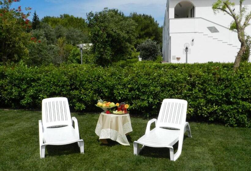 Отель Agriturismo La Rondine