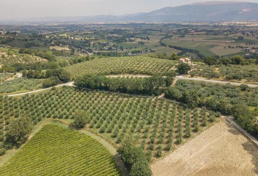 فندق Maestà Delle Quattro Chiavi