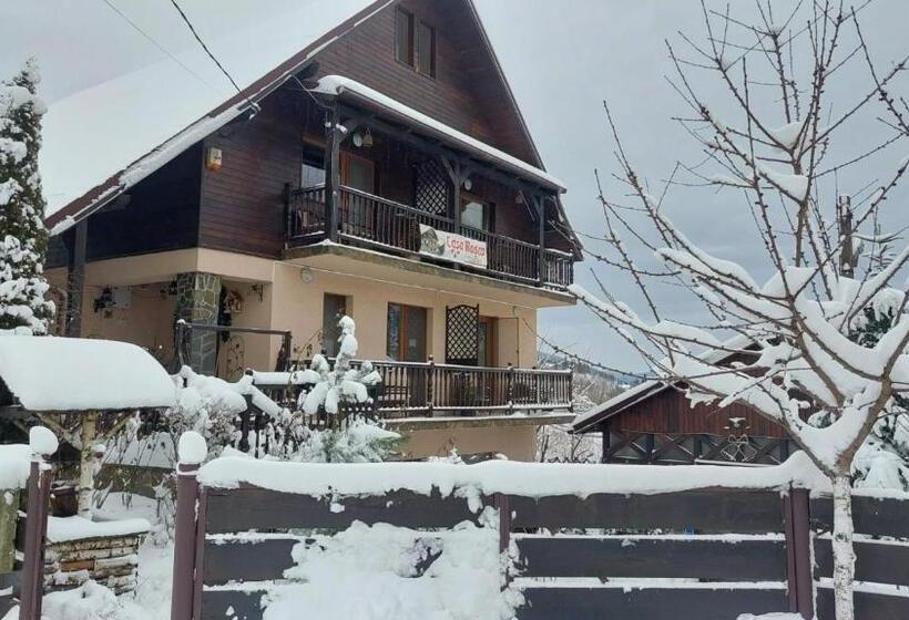 פנסיון Casa Rosca Busteni