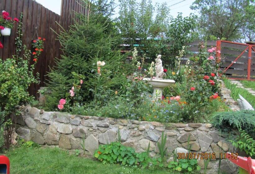 פנסיון Casa Rosca Busteni