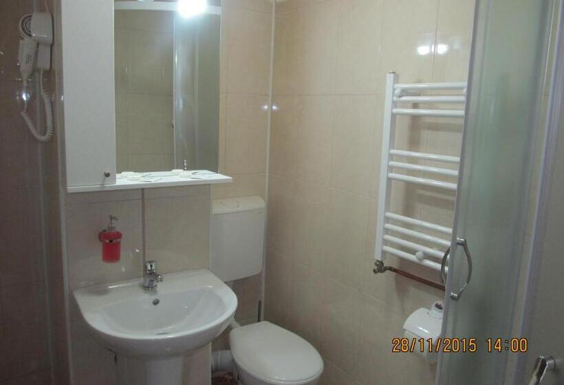 פנסיון Casa Rosca Busteni