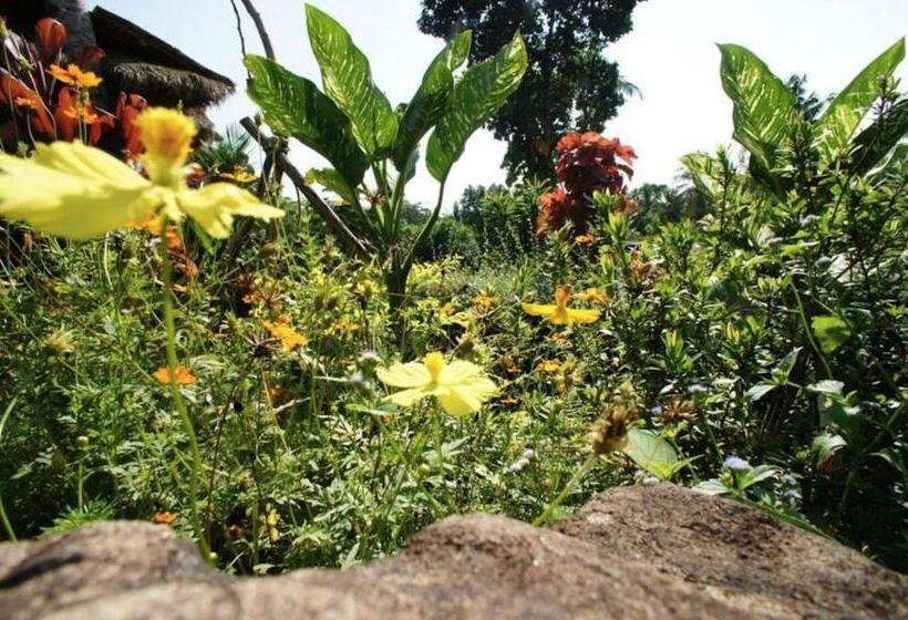 Пансион Oasis Koh Chang