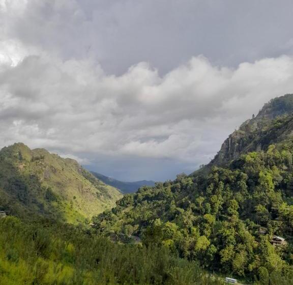 膳宿费 Seven Heaven