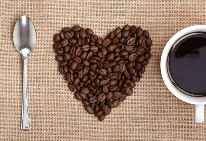 호스텔 Lulu Pousada Buzios