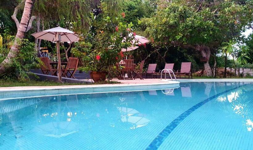 הוסטל Pousada Araçás Village