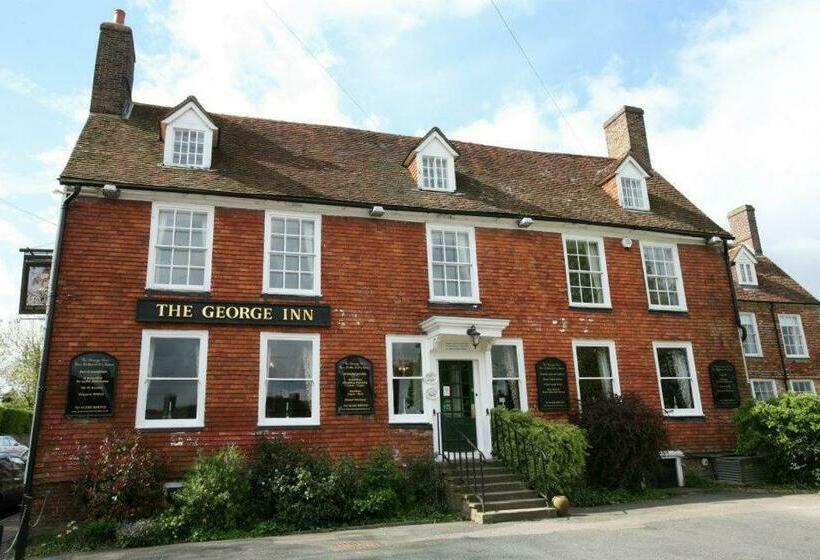 فندق صغير The George Inn