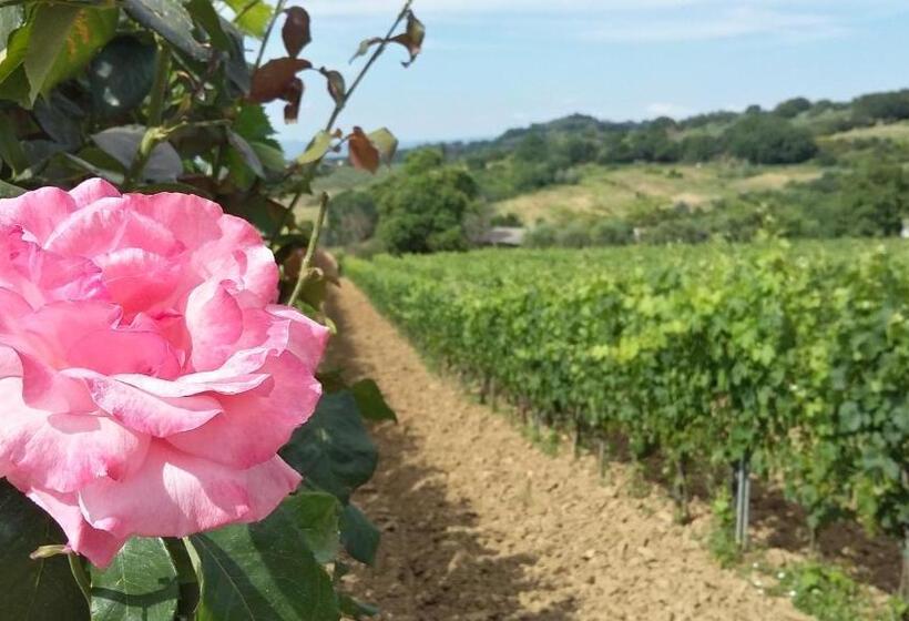 בית מלון כפרי Agriturismo Pescaia