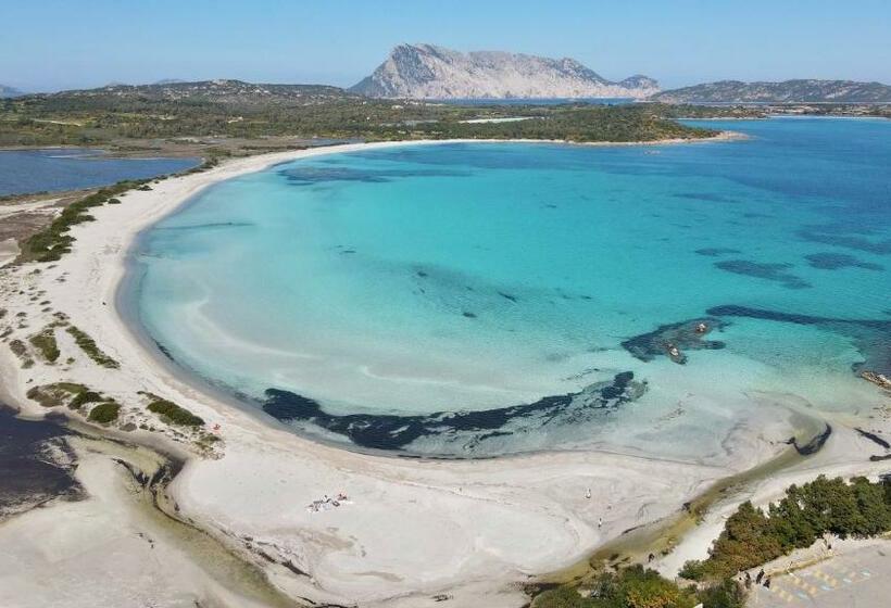 Iss Travel, L Uddastru Panoramic Apartments With Private Outdoor Terrace