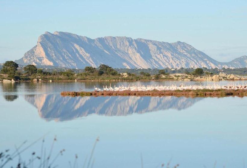 Iss Travel, L Uddastru Panoramic Apartments With Private Outdoor Terrace