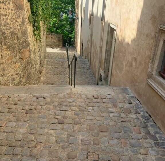 Plantagenet Le Vieux Mans Hyper Centre