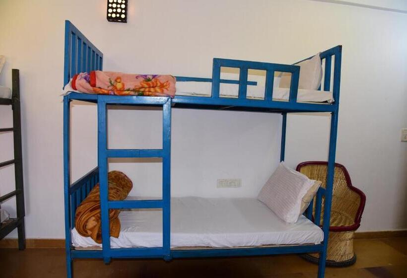 ユースホステル Wonbin Safari Jaisalmer