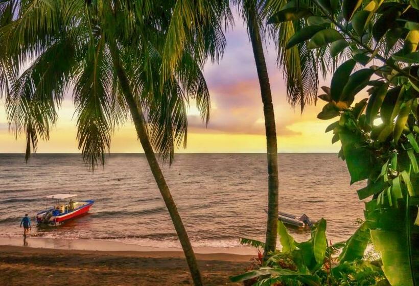 Atlantis Dive Resort Dumaguete