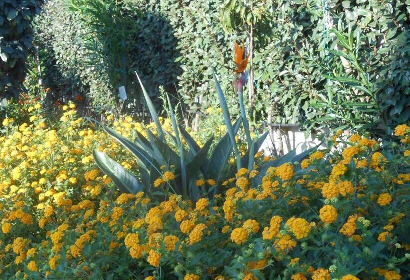 B&b La Posada Stintino