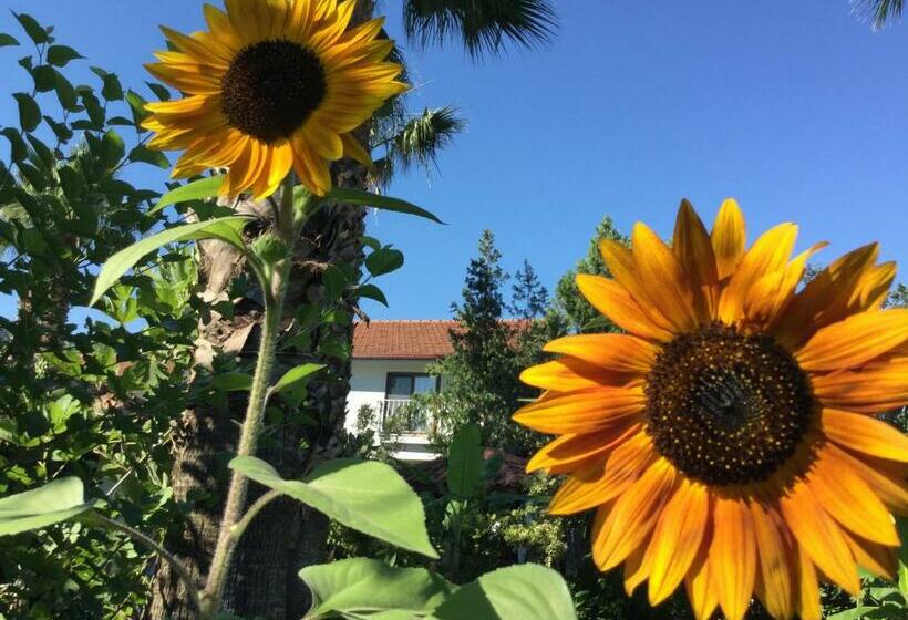 تختخواب و صبحانه Dalyan Garden Pension