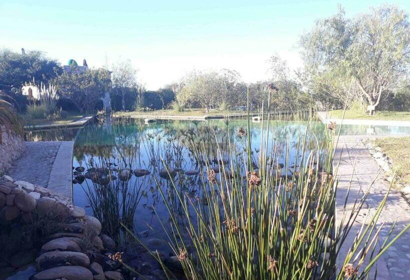 تختخواب و صبحانه Douar Noujoum