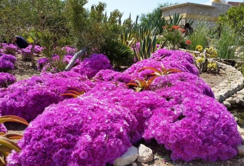 تختخواب و صبحانه Douar Noujoum