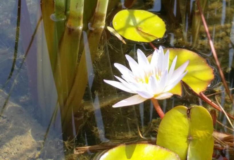 تختخواب و صبحانه Douar Noujoum