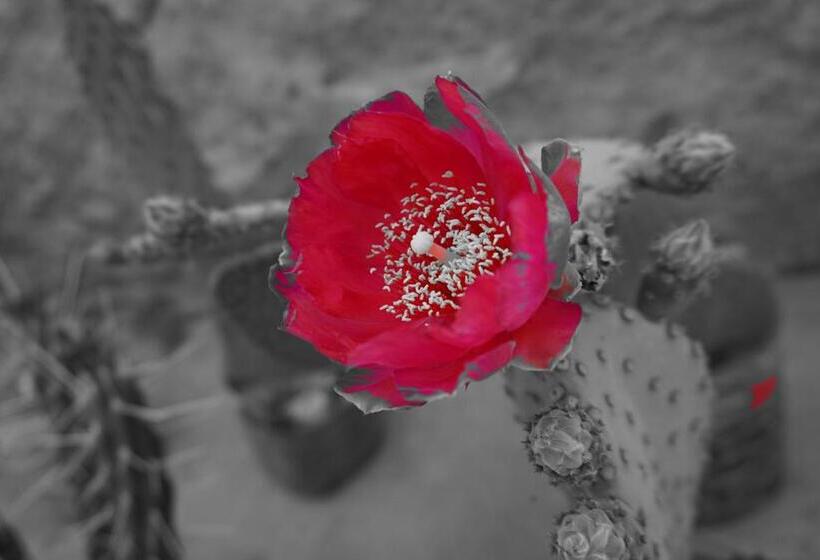 تختخواب و صبحانه Douar Noujoum