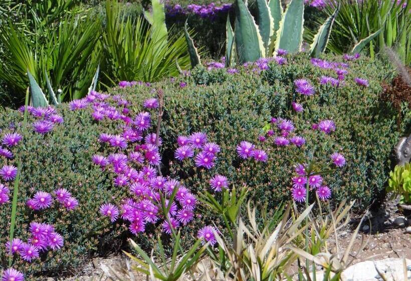 تختخواب و صبحانه Douar Noujoum