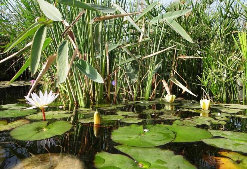 تختخواب و صبحانه Douar Noujoum