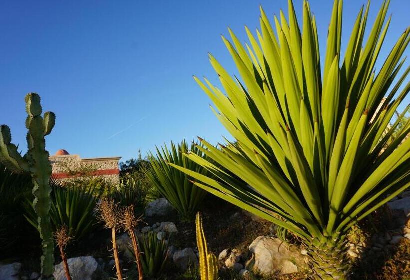 تختخواب و صبحانه Douar Noujoum