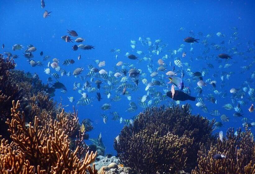 تختخواب و صبحانه Menjangan View
