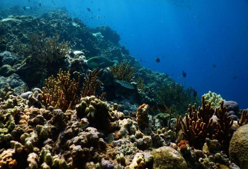 צימר Menjangan View