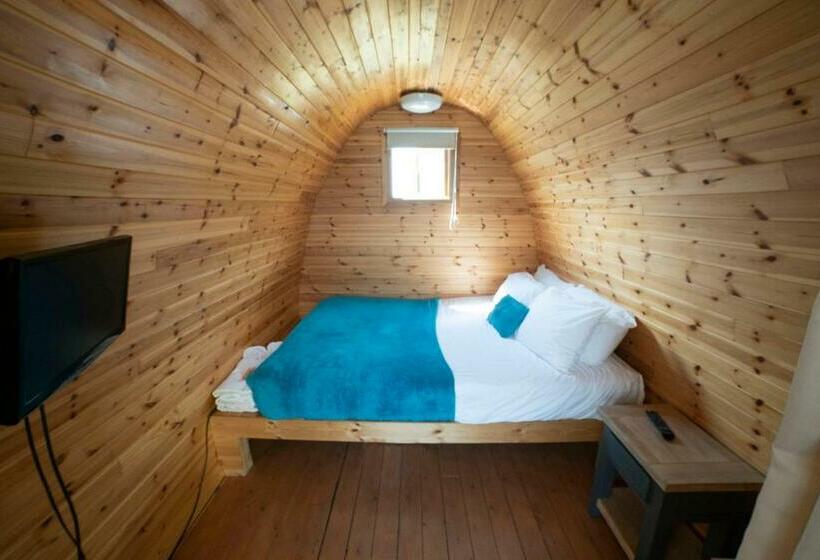 مبيت وإفطار Old Hall House, Nec