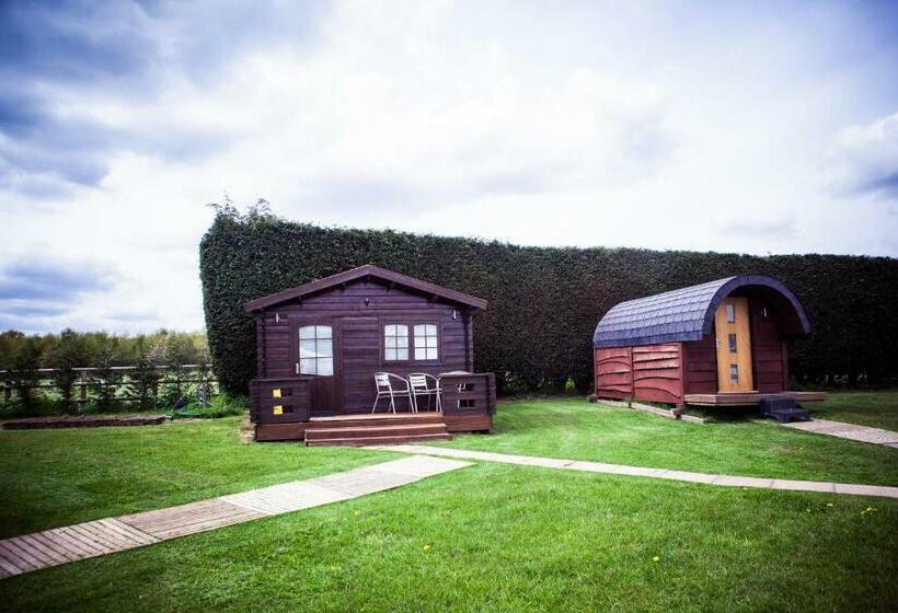 مبيت وإفطار Old Hall House, Nec